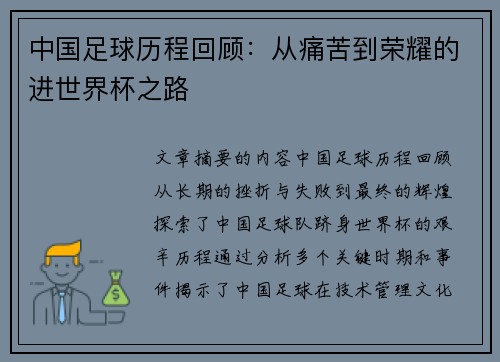 中国足球历程回顾：从痛苦到荣耀的进世界杯之路